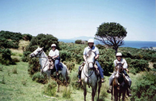 New Zealand-North Island-Warrior Trail